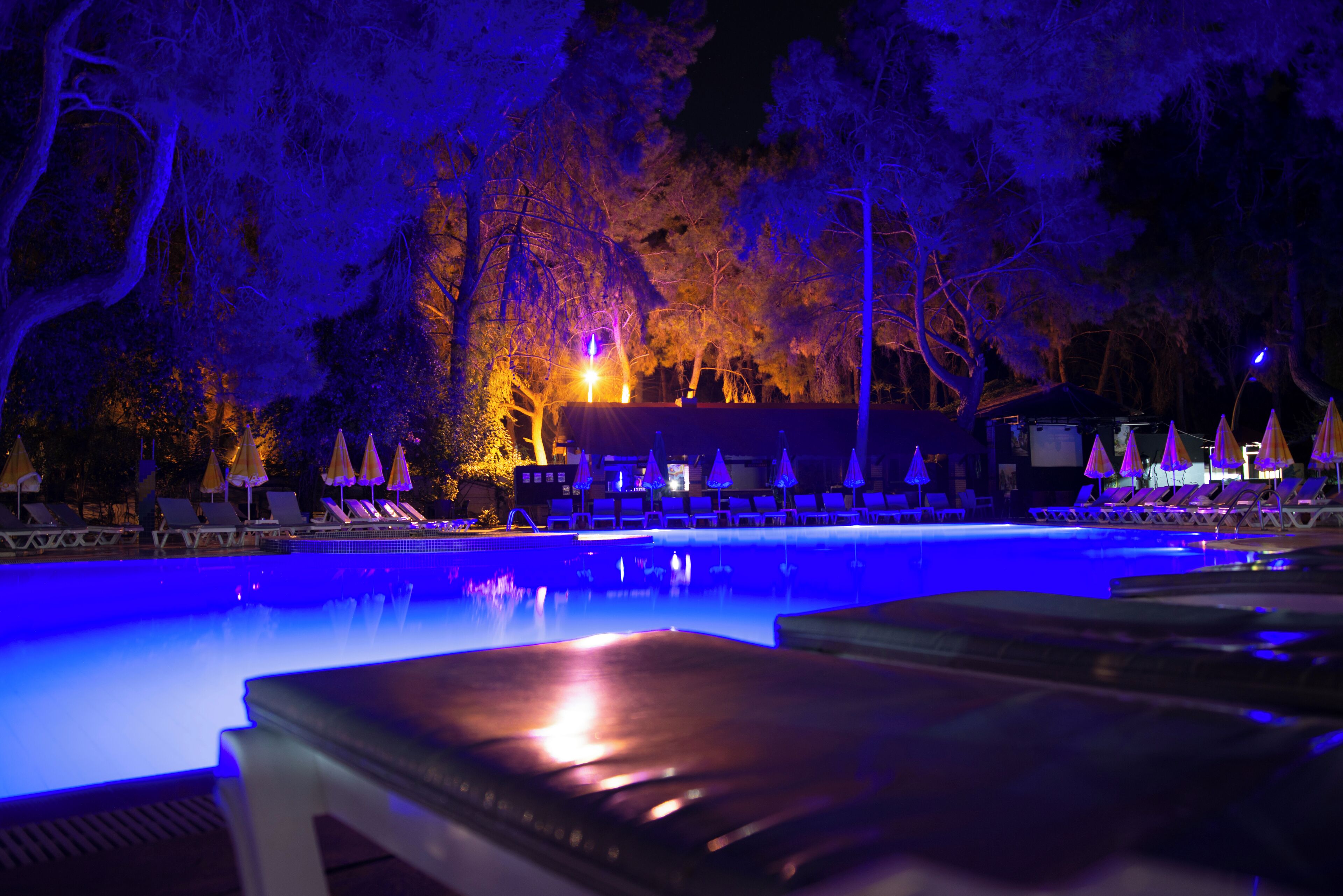 Seasonal outdoor pool, open 9:00 AM to 6:00 PM, pool umbrellas