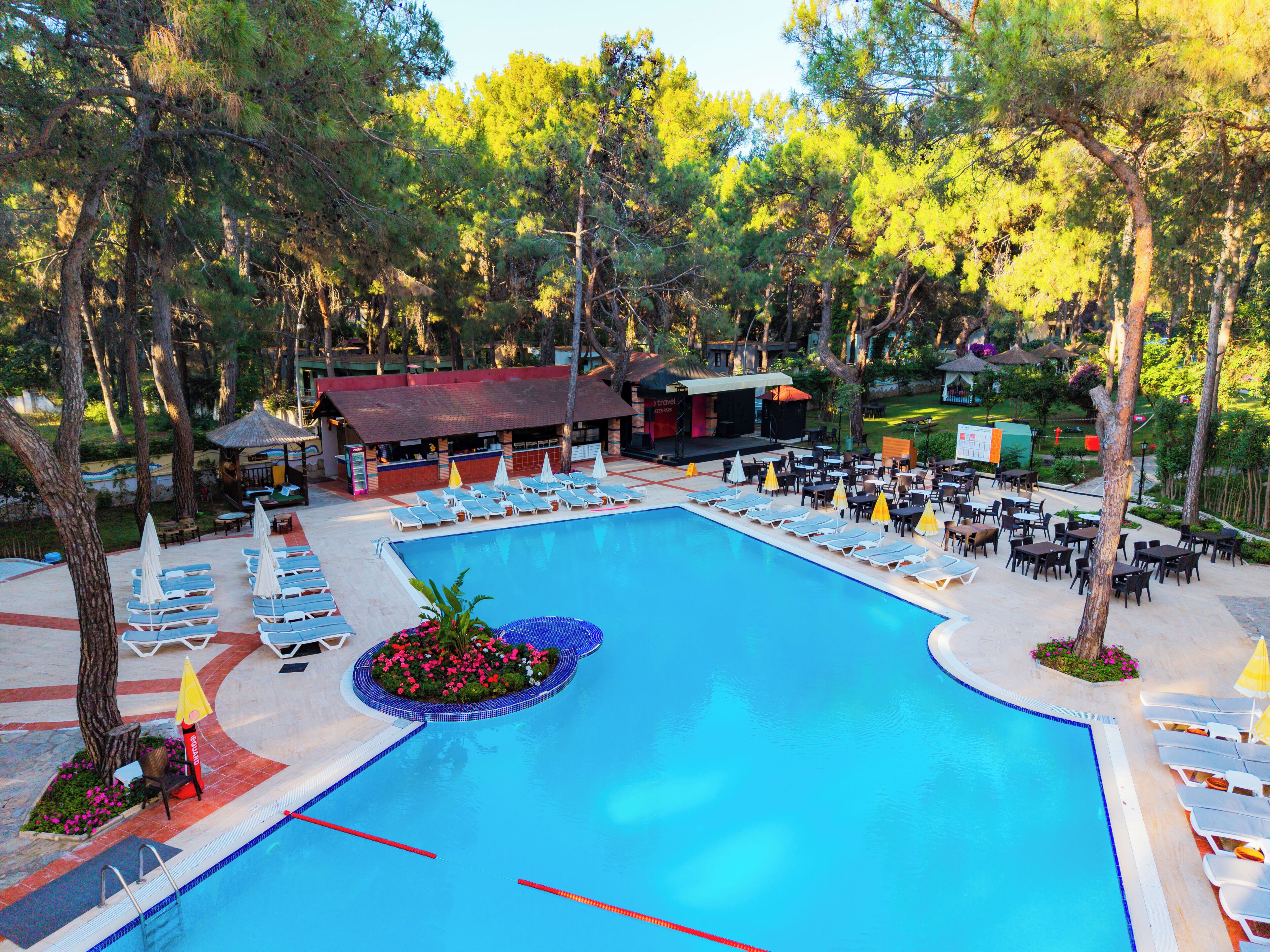 Ein Schwimmbecken mit Liegestühlen und Sonnenschirmen, umgeben von Bäumen und einer Bar.