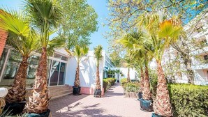 Un sendero bordeado de palmeras y plantas en macetas, que conduce a un edificio con amplias ventanas y fachada de ladrillo.