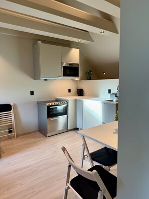 Fridge, microwave, oven, stovetop - Exclusive penthouse - newly renovated in 2025, with views and style! (Vestland)