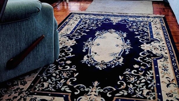 Ein Zimmer mit einem großen Fenster, einem Fernseher, einem weißen Regal, einem blauen Sessel und einem gemusterten Teppich.