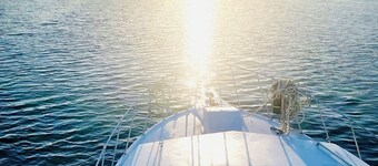 Swivel On Anchor