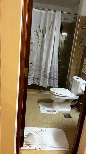 Shower, towels, soap, toilet paper