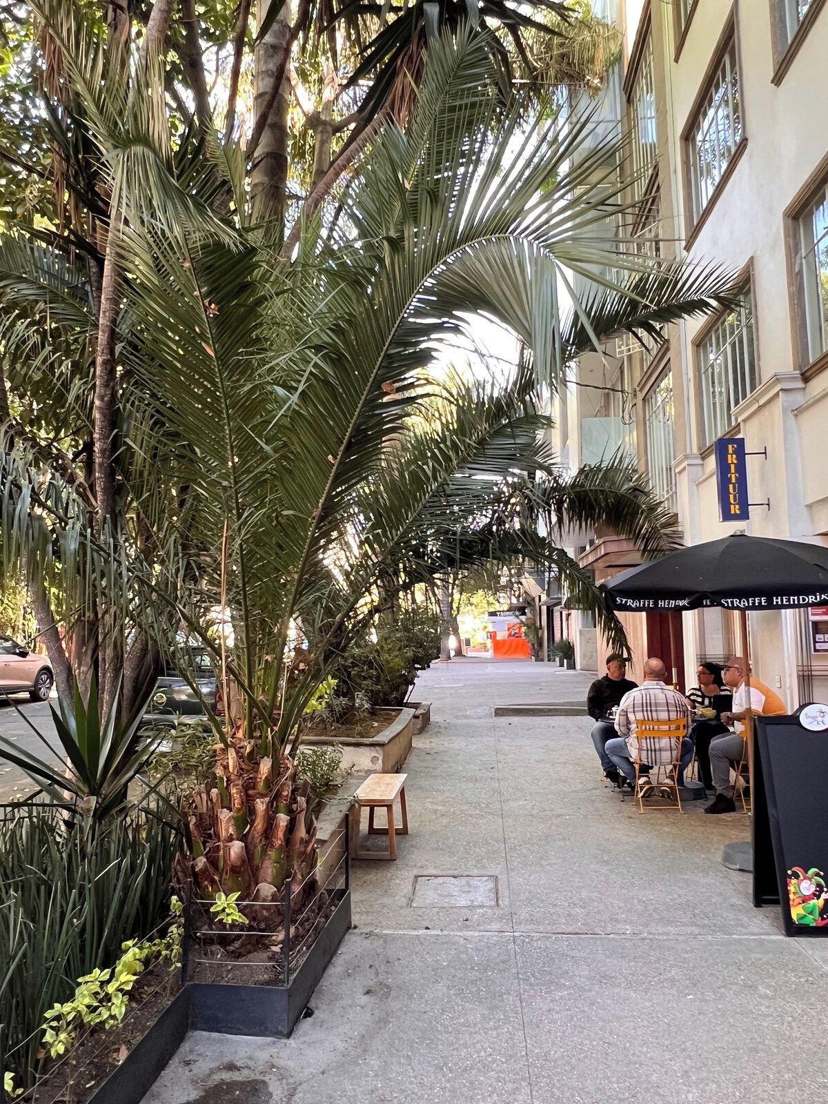 Une rue bordée de terrasses, de palmiers et d’un bâtiment sur lequel on peut lire l’inscription « Fritur ».