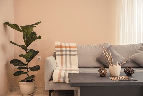 PRO Workspace | FREE Gym Pass | Center