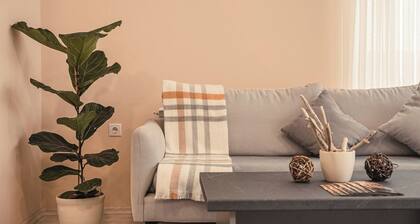 PRO Workspace | FREE Gym Pass | Center