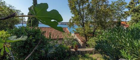 A garden with a stone wall, a large leaf, and a view of a building with a tiled roof.