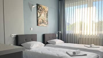 Habitación estándar con 1 cama matrimonial o 2 individuales | 1 habitación, escritorio y espacio para trabajar con laptop