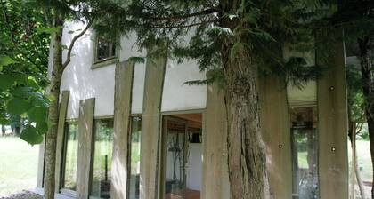 Chalet 5 close to an exceptional forest