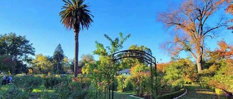 Jardines del alojamiento