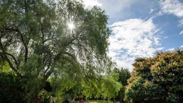 Área da propriedade