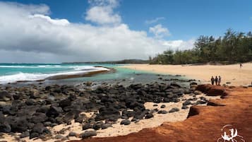 Espreguiçadeiras, toalhas de praia