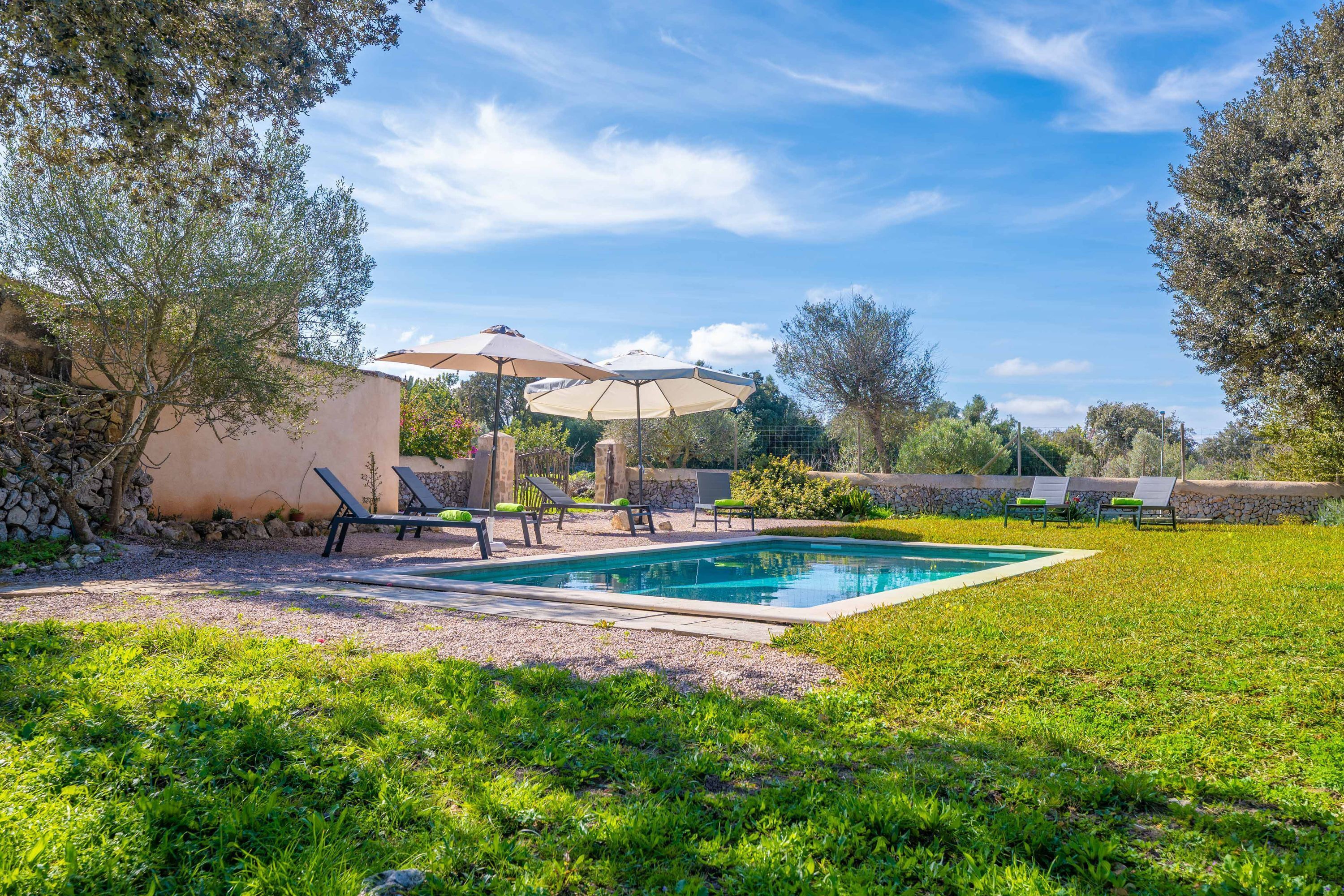 A backyard with a swimming pool, lounge chairs, and umbrellas.