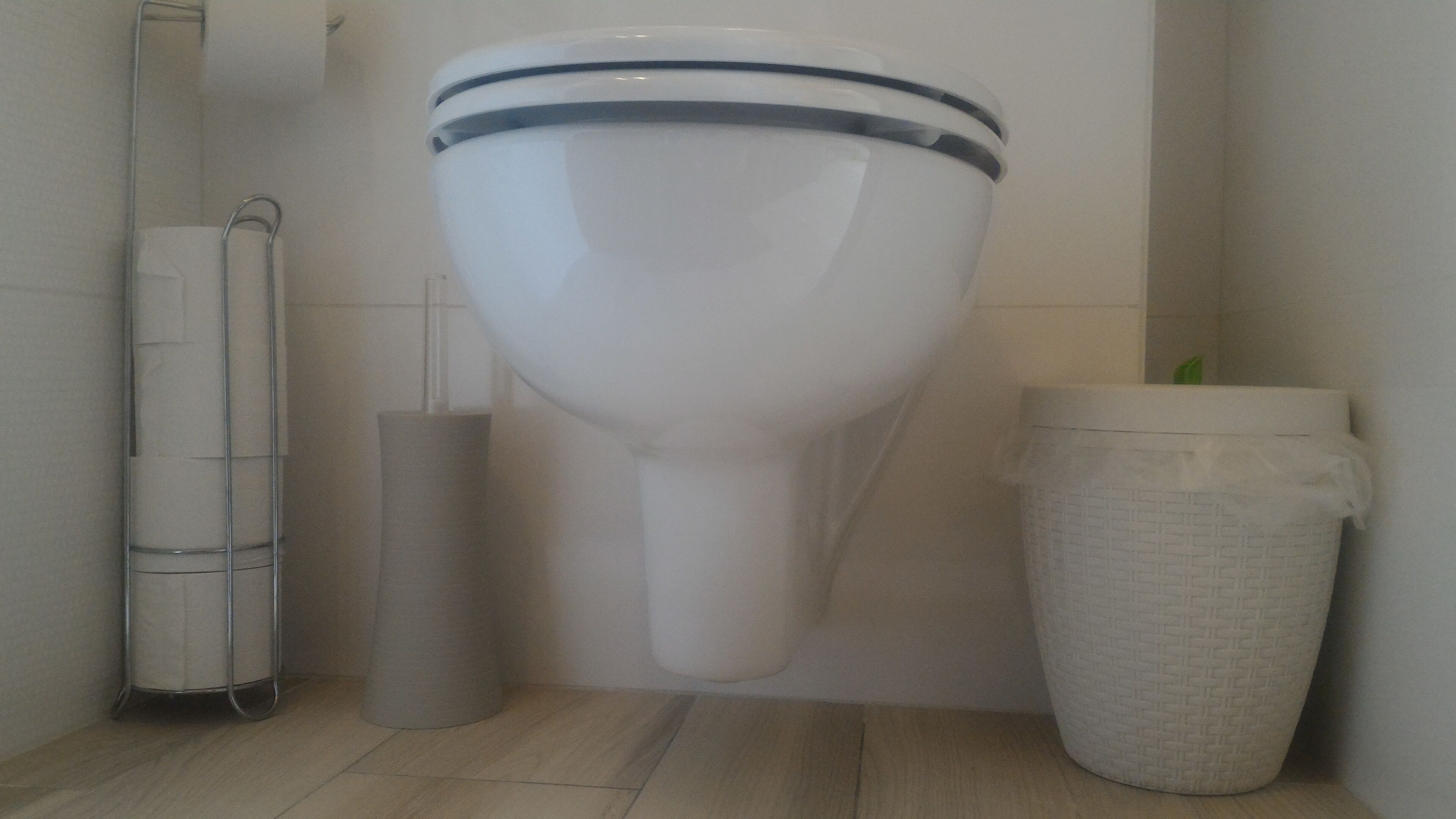 Des toilettes en porcelaine blanche, un porte-rouleau de papier toilette à gauche et une poubelle à droite.