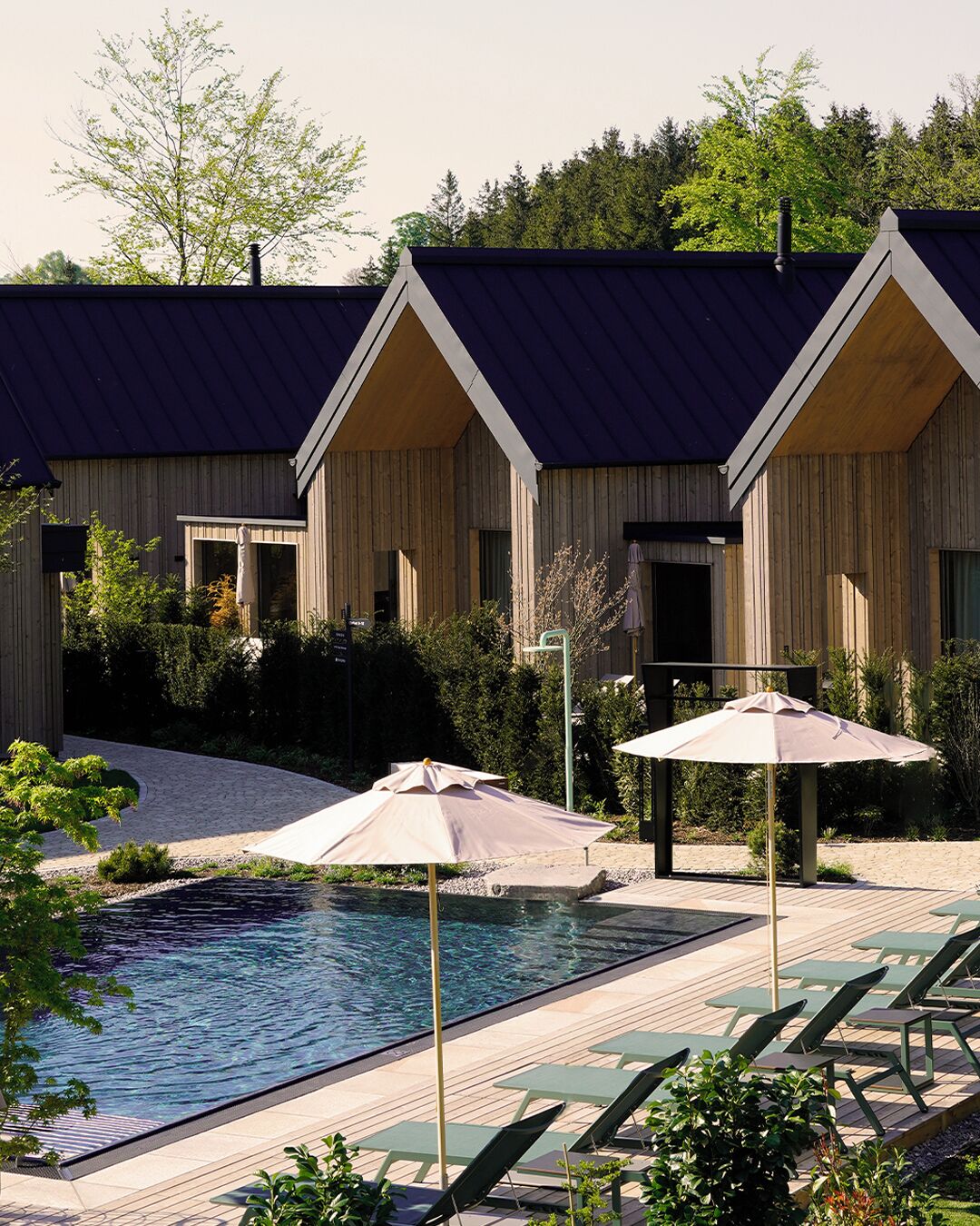 Alberca al aire libre, sombrillas en la alberca y camastros 