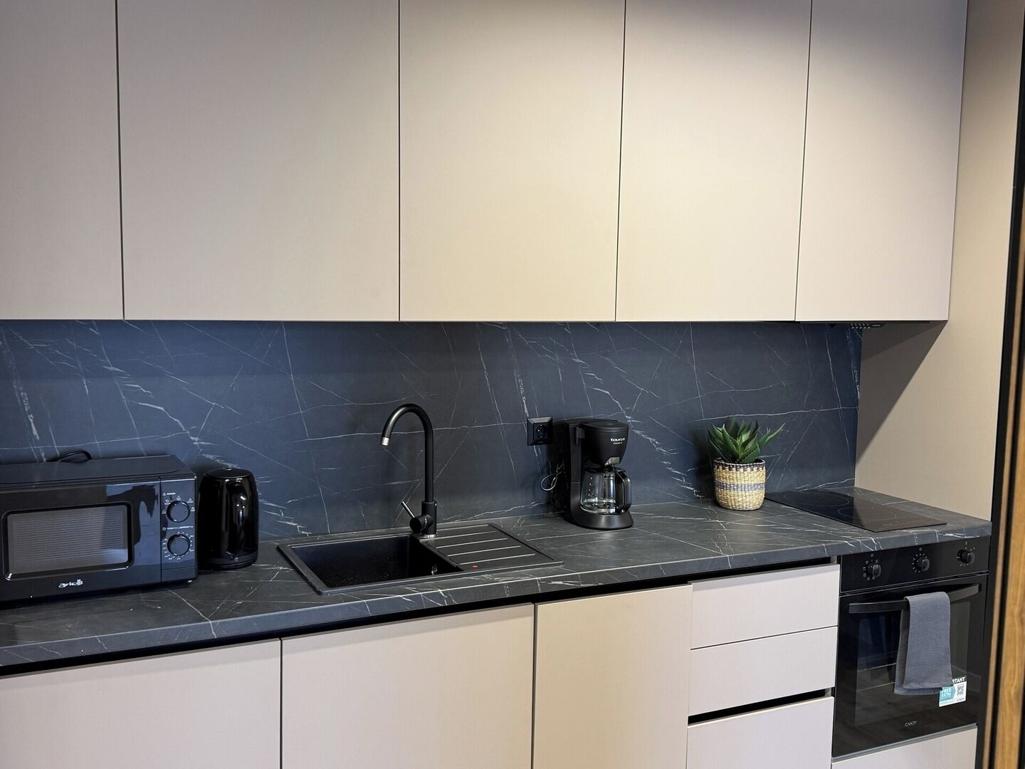A modern kitchen with a black marble backsplash, a built-in sink, a coffee maker, and a small potted plant.