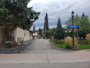 Stroll through a peaceful neighborhood lined with mature trees and well-manicured lawns.