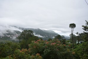 Imagen general