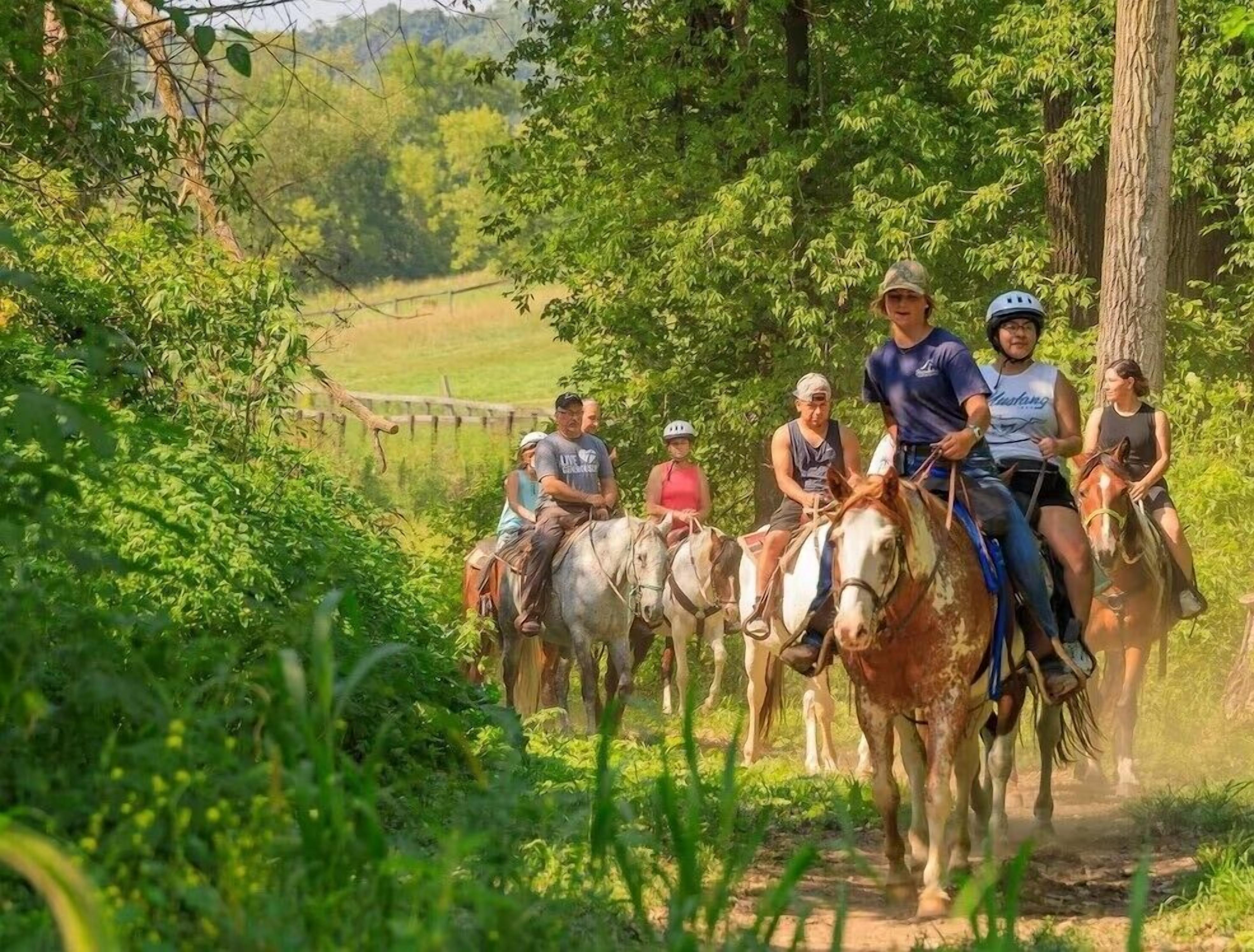 Un groupe de personnes à cheval, sur un chemin de terre bordé de verdure.
