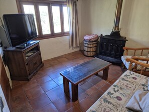 TV, fireplace, books - El Barranco Rural House (VALLEHERMOSO)