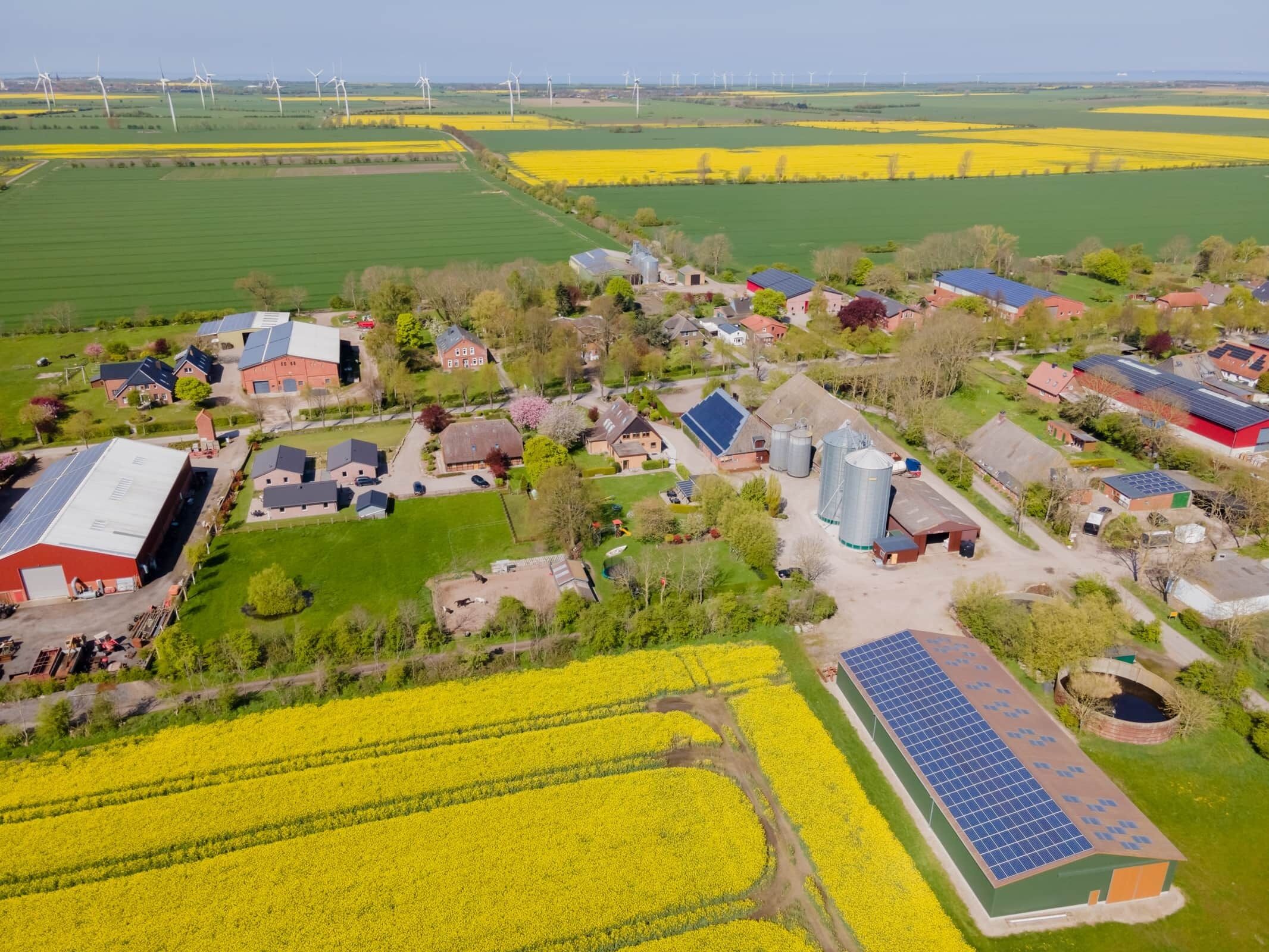 An aerial view of a rural area with wind turbines, fields of yellow flowers, and various buildings including a large barn and solar panels.
