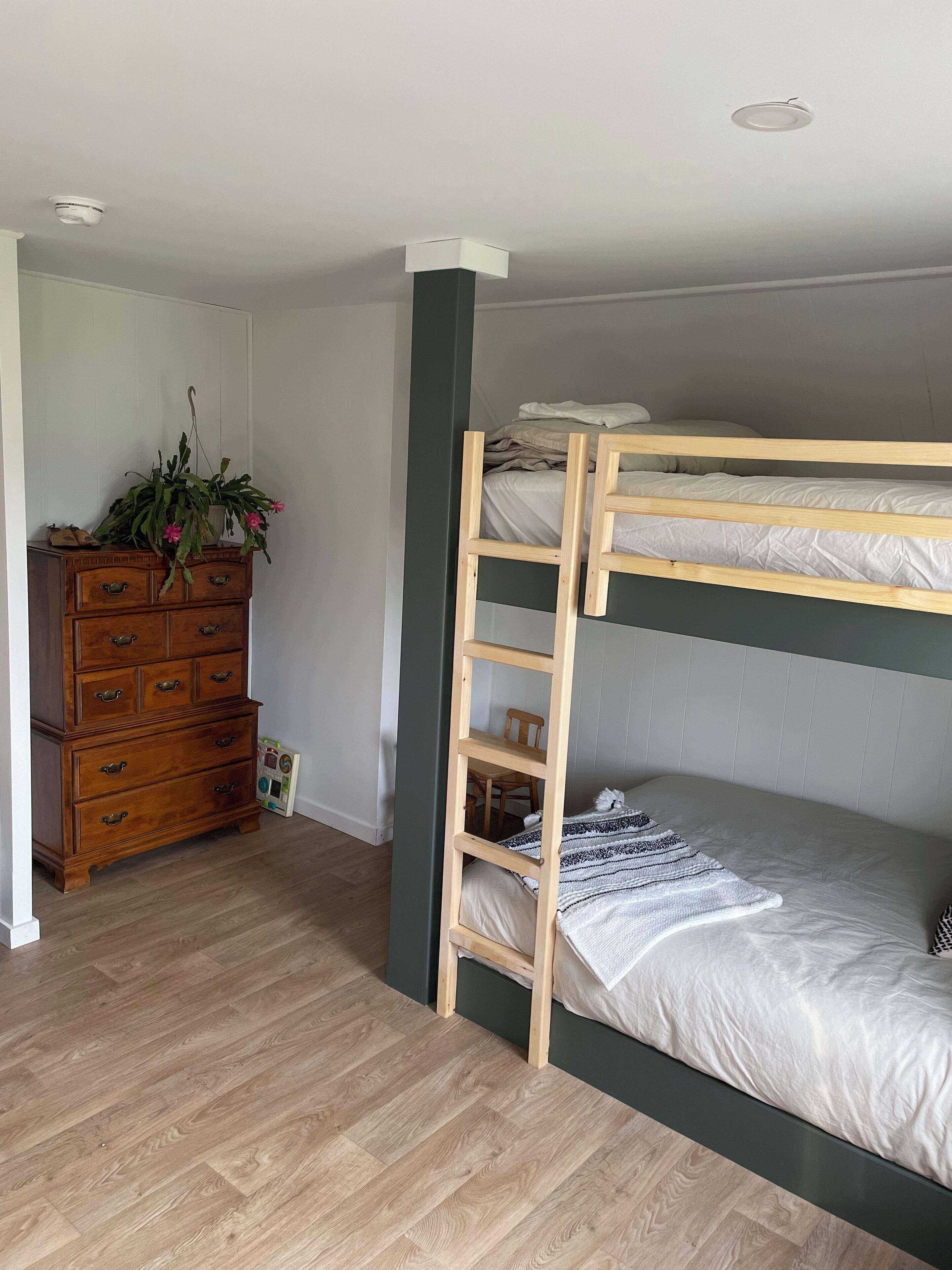 A bunk bed room with a wooden dresser and a plant.