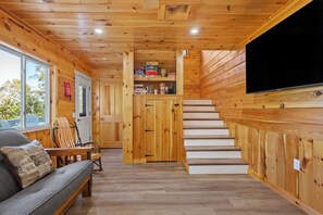 Smart-TV, Kamin