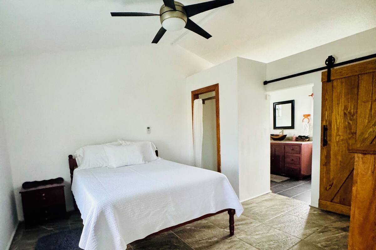 A bedroom with a bed, a ceiling fan, a wooden door, and a bathroom visible through an open door.