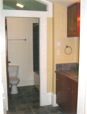 Hair dryer, bidet, towels, soap