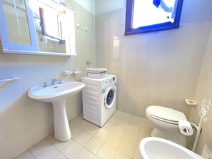Shower, hair dryer, bidet, towels