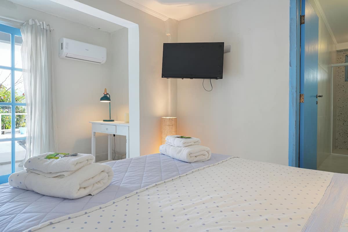 Une chambre d’hôtel équipée d’un lit, d’un bureau, d’une télévision et d’un espace douche.