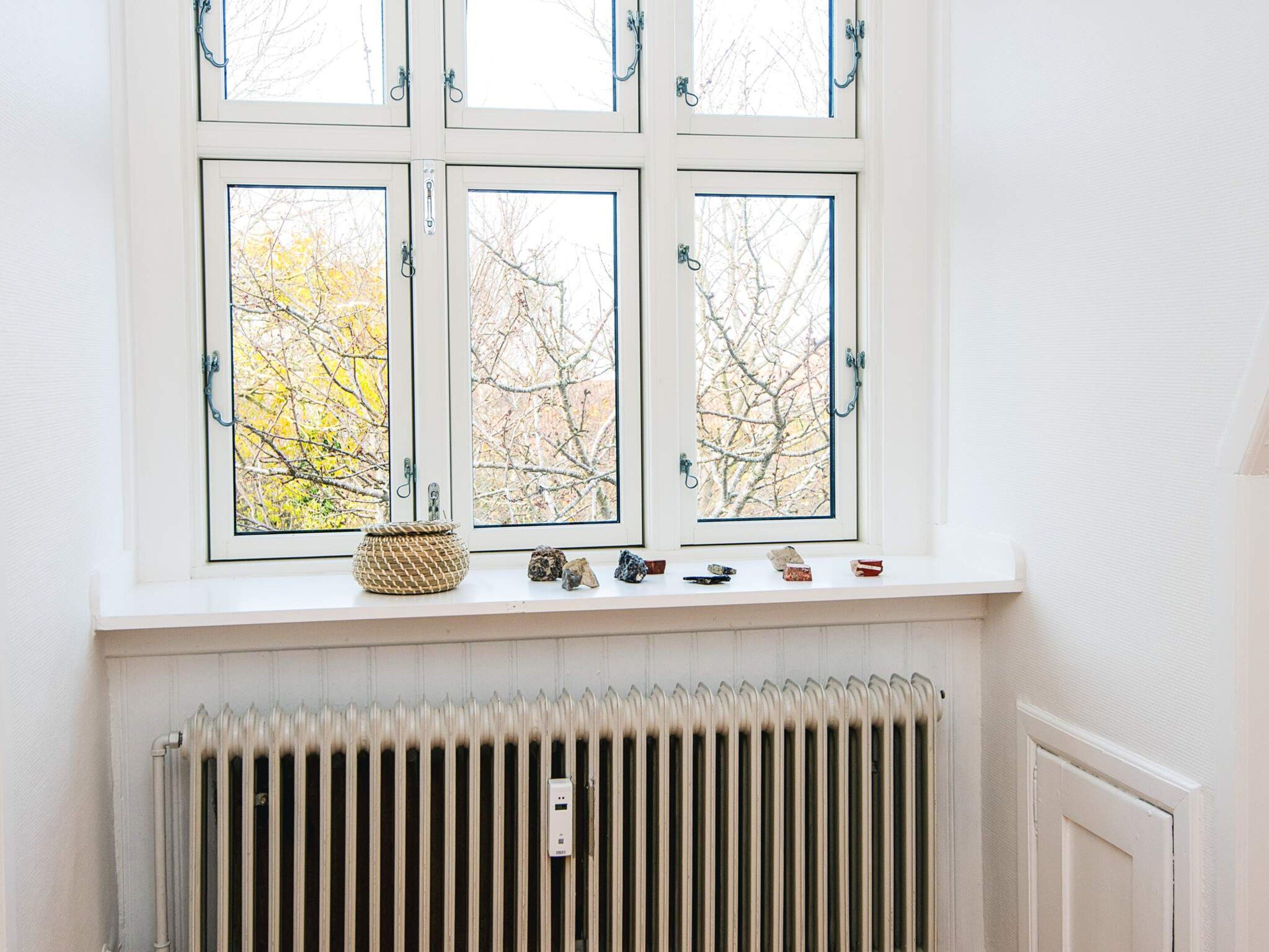 A window with a view of trees, a radiator below, and a shelf with decorative items.