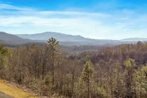 Un paysage boisé avec des montagnes en arrière-plan.
