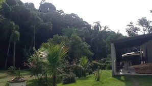 A lush garden with various plants and a small structure.