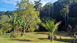 A lush garden with various tropical plants and trees, including banana trees and a palm tree.