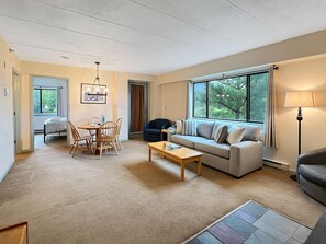 Living area - Mt Green 2-f06 (Killington)