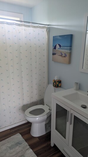 Douche, sèche-cheveux, serviettes fournies, papier toilette