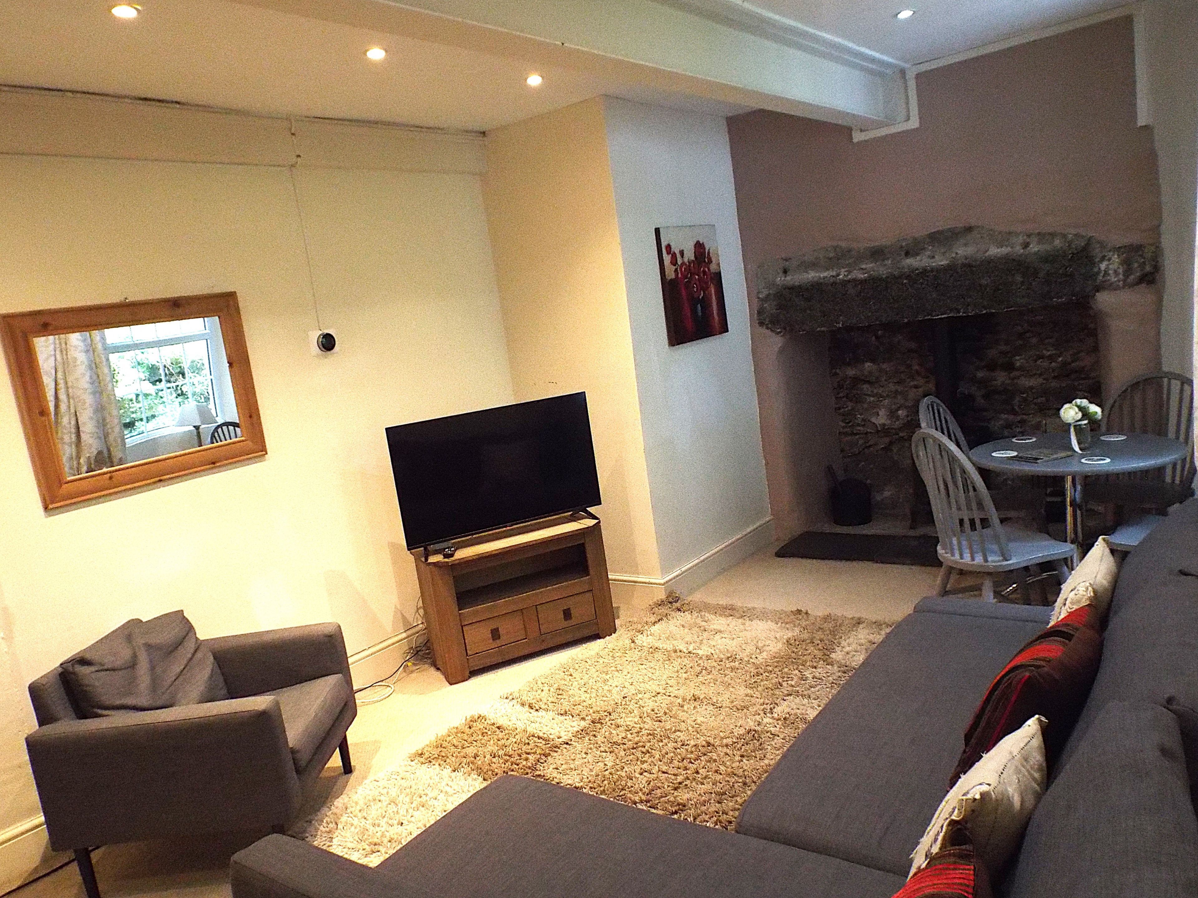 Smart TV, fireplace, video games, books