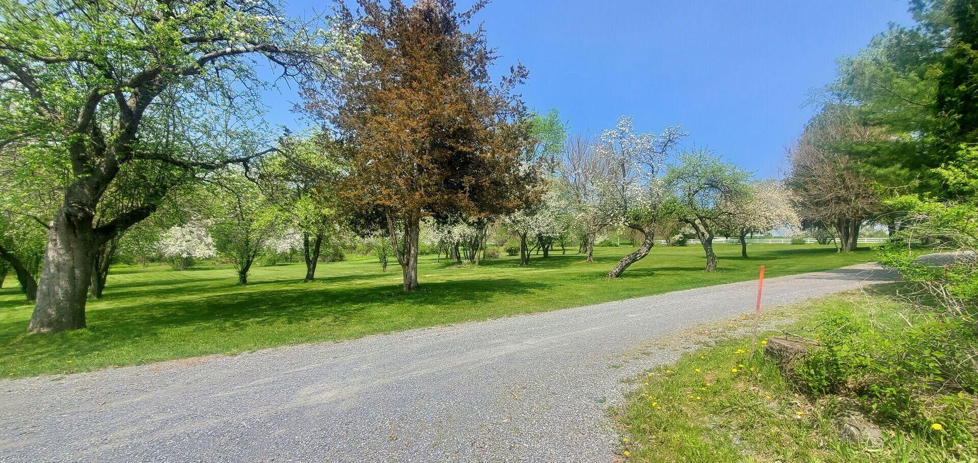 Un sendero de grava en un parque con árboles y césped.