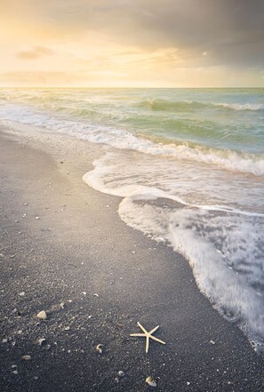 A beach with waves, a starfish, and a sandy shore. - Salty Mermaid on Little Gasparilla Island!  Come get salty! (Placida)