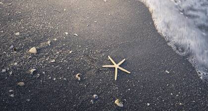 Salty Mermaid on Little Gasparilla Island! Come get salty!