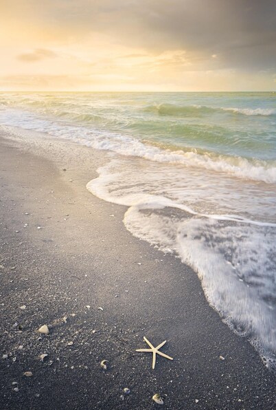 Salty Mermaid on Little Gasparilla Island!  Come get salty!