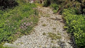 A gravel path leading to a beach with rocky outcrops and dense greenery.