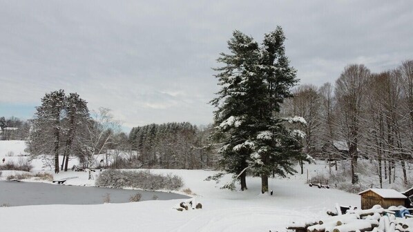 Rumah, 1 Tempat Tidur Double (Pond View Cabin) | Lain-lain