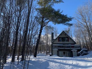 A lodge with a large porch and a chimney, surrounded by snow-covered trees. - Treehouse Home (Ludlow)