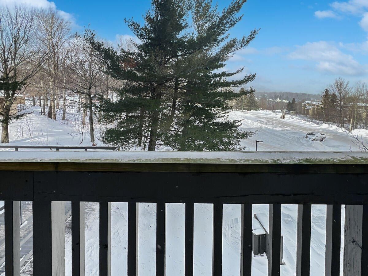 A snowy landscape with a wooden deck and a large evergreen tree in the background.