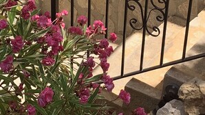 A staircase with a black metal railing and pink flowers in the foreground. - Mountain villa + sea view. Privacy, tranquillity. Near Javéa, Moraira and Dénia (VC)