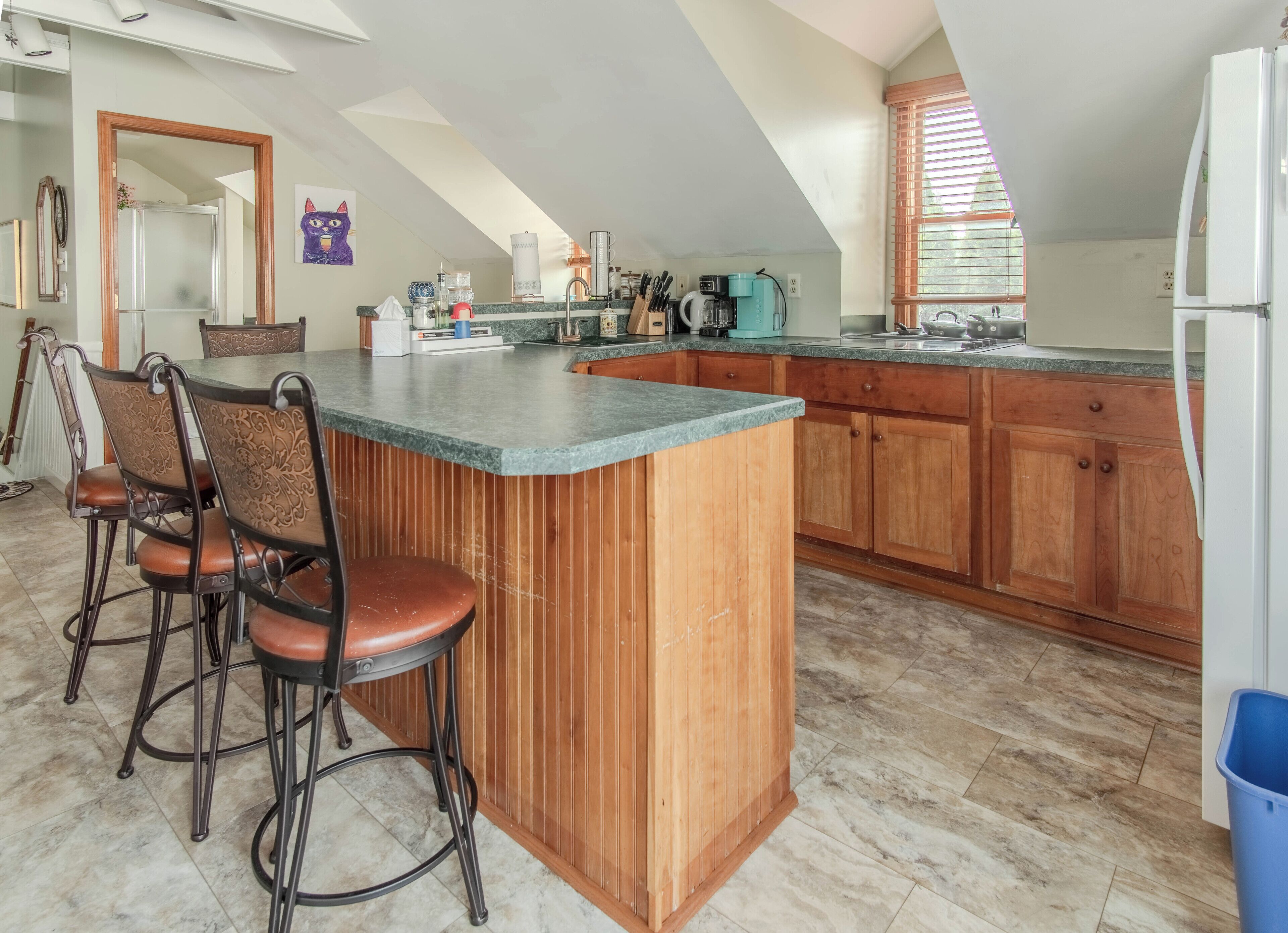 Fridge, microwave, stovetop, dishwasher