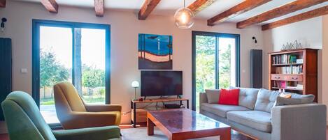 TV, fireplace, video games, DVD player