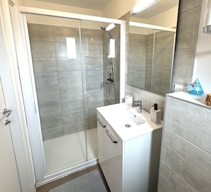 Shower, hair dryer, towels